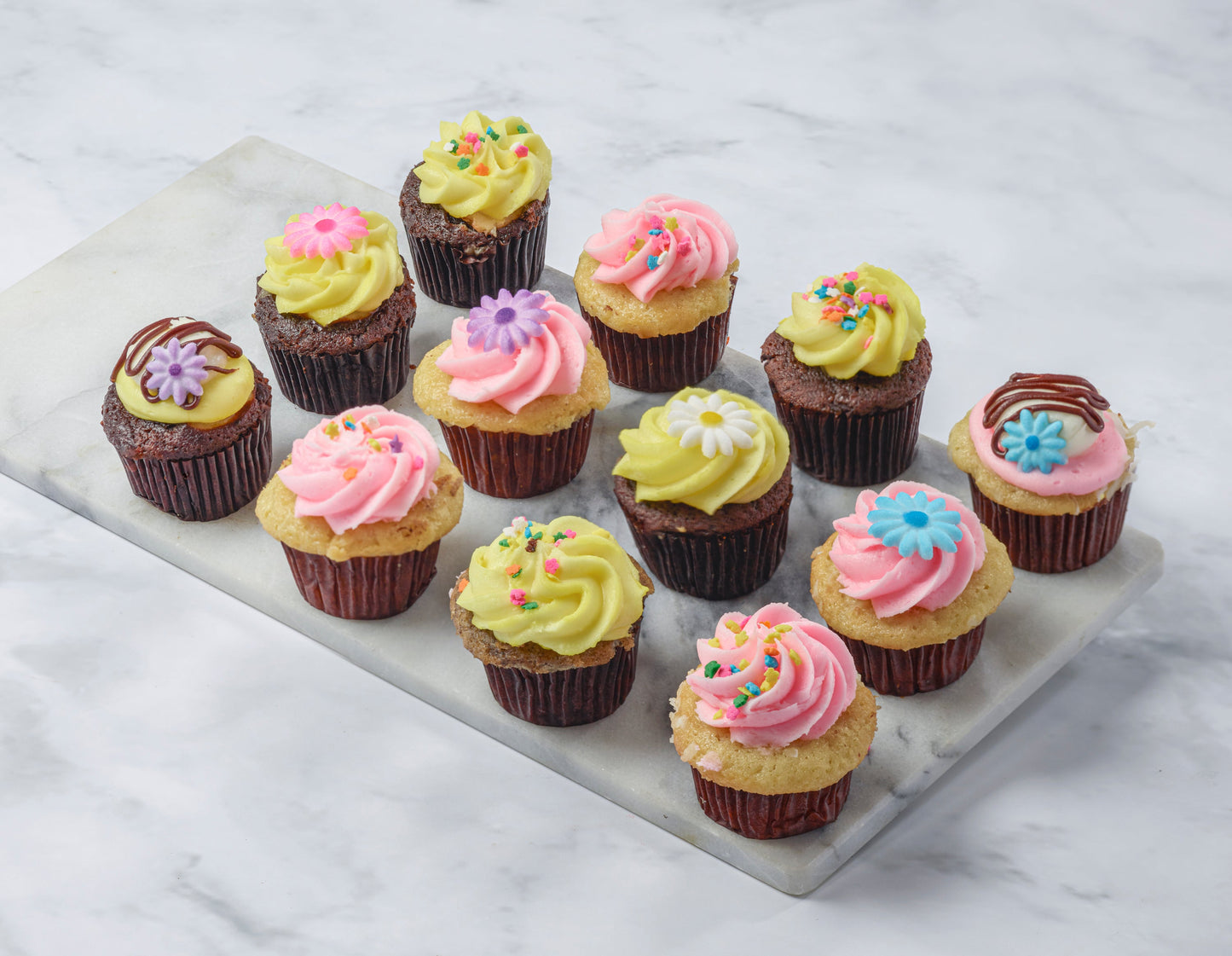 sweet and simple easter 12 mini or regular size cupcakes box