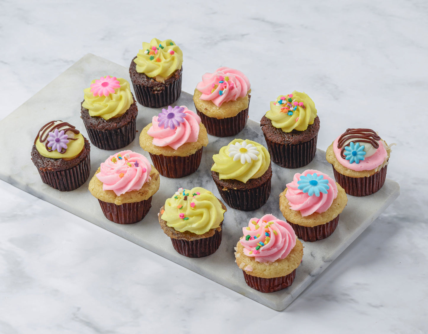 sweet and simple easter 12 mini or regular size cupcakes box